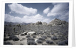 Scrubland and Rock Formations by Anonymous