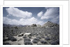 Scrubland and Rock Formations by Anonymous