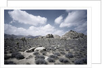 Scrubland and Rock Formations by Anonymous