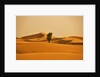 Single Tree in Sand Dunes by Anonymous