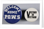 Vietnam War Pins by Anonymous