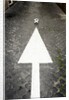This Way to Soccer by Anonymous