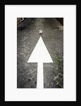 This Way to Soccer by Anonymous