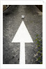 This Way to Soccer by Anonymous