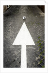 This Way to Soccer by Anonymous