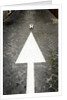 This Way to Soccer by Anonymous