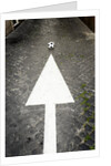This Way to Soccer by Anonymous