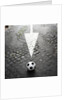This Way to Soccer by Anonymous