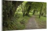 Woodstock Gardens and Arboretum by Anonymous