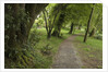 Woodstock Gardens and Arboretum by Anonymous