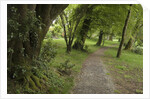 Woodstock Gardens and Arboretum by Anonymous