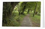 Woodstock Gardens and Arboretum by Anonymous
