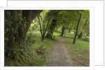 Woodstock Gardens and Arboretum by Anonymous