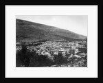 Overview of Palestine by Anonymous