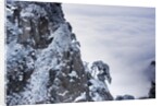 Huangshan Mountains in Winter by Anonymous
