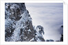 Huangshan Mountains in Winter by Anonymous