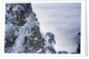 Huangshan Mountains in Winter by Anonymous
