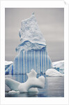 Unusual Iceberg by Anonymous