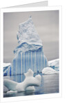 Unusual Iceberg by Anonymous