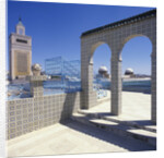 Terrace and Great Mosque by Anonymous
