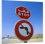 Stop and No Left Turn Signs by Anonymous