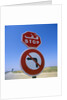 Stop and No Left Turn Signs by Anonymous