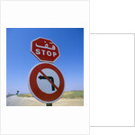 Stop and No Left Turn Signs by Anonymous