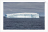 Tabular Iceberg by Anonymous