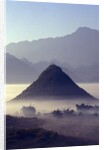 Mist Rising Over Fields by Anonymous