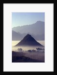 Mist Rising Over Fields by Anonymous