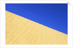 Sand Dune by Anonymous