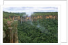 Chapada dos Guimaraes Mountain Range by Anonymous