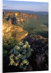 Chapada dos Guimaraes Mountain Range by Anonymous
