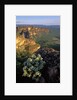 Chapada dos Guimaraes Mountain Range by Anonymous