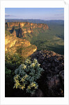 Chapada dos Guimaraes Mountain Range by Anonymous