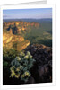 Chapada dos Guimaraes Mountain Range by Anonymous