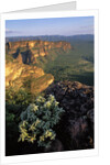 Chapada dos Guimaraes Mountain Range by Anonymous