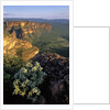Chapada dos Guimaraes Mountain Range by Anonymous