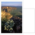 Chapada dos Guimaraes Mountain Range by Anonymous