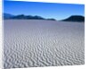 Wind Pattern in Desert Sand by Anonymous