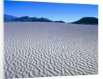 Wind Pattern in Desert Sand by Anonymous