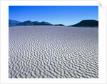 Wind Pattern in Desert Sand by Anonymous