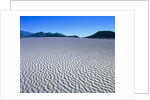 Wind Pattern in Desert Sand by Anonymous