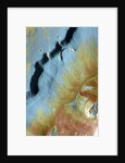 Mamers Valles by Anonymous