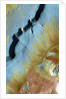 Mamers Valles by Anonymous