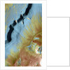 Mamers Valles by Anonymous