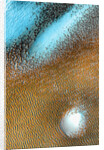 Polar Dunes by Anonymous