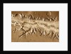 Valles Marineris by Anonymous