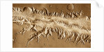 Valles Marineris by Anonymous