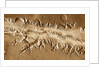 Valles Marineris by Anonymous